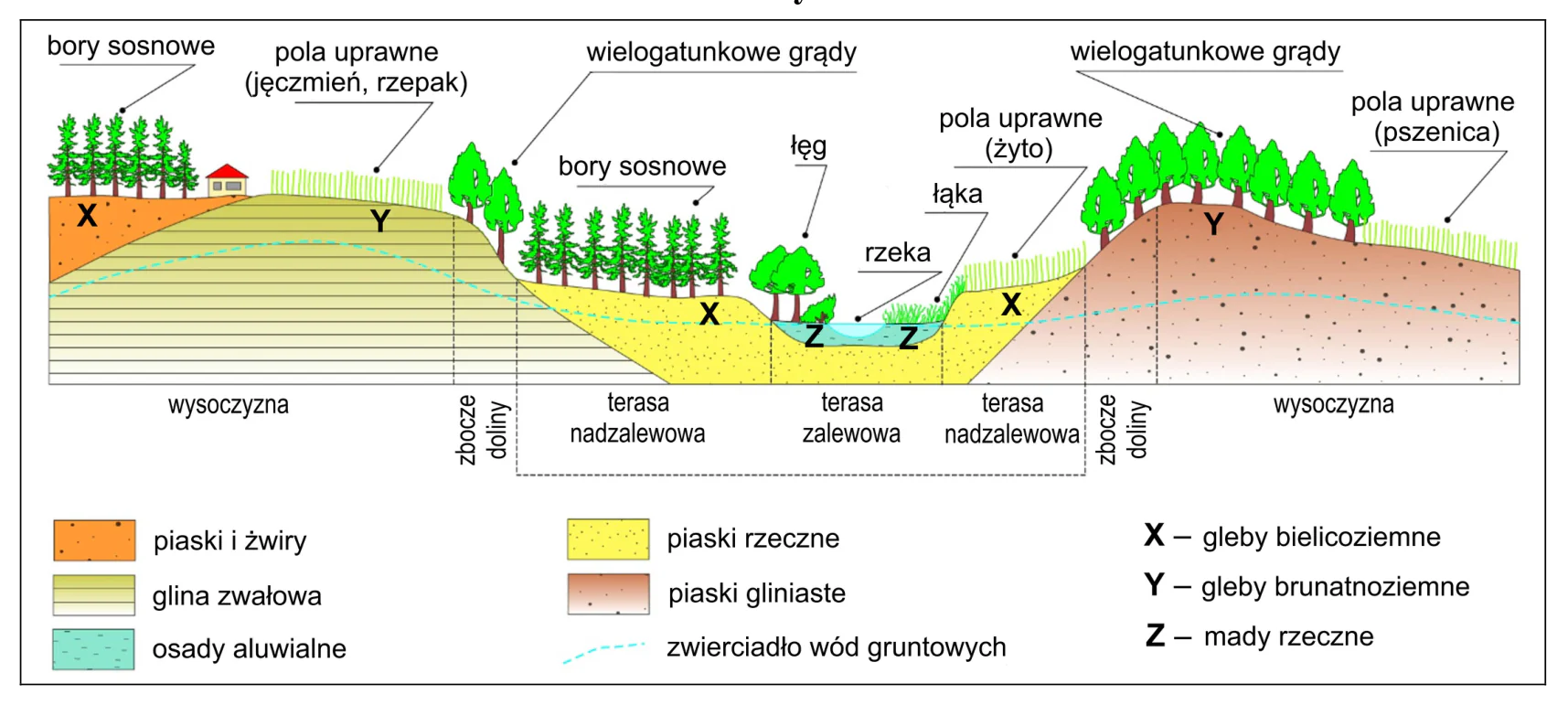 Materiał graficzny do zadania