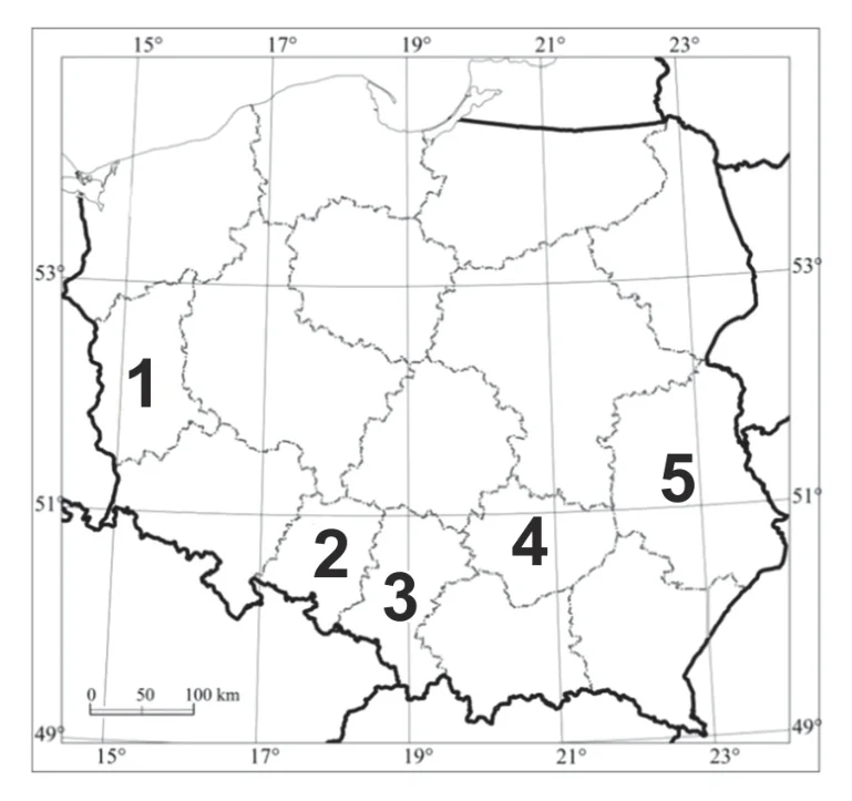 Materiał graficzny do zadania