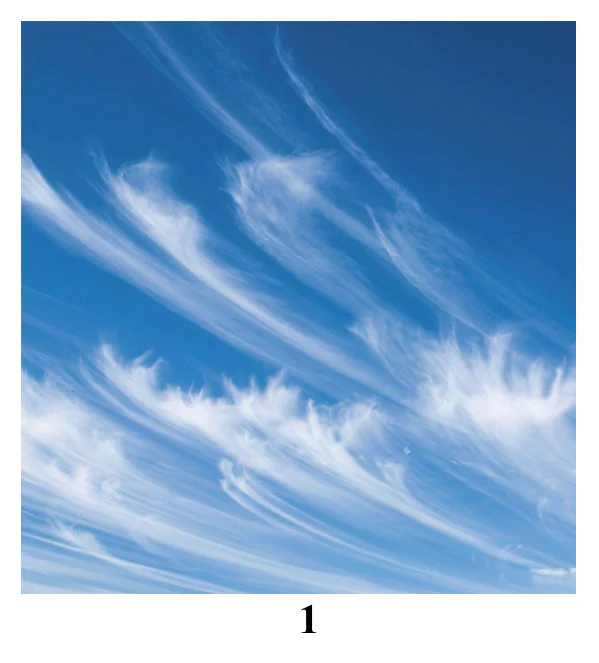 Materiał graficzny do zadania