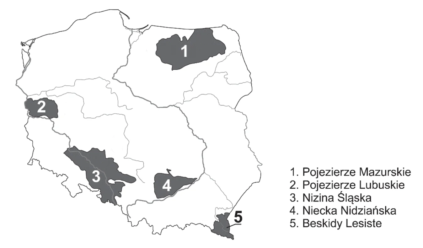 Materiał graficzny do zadania
