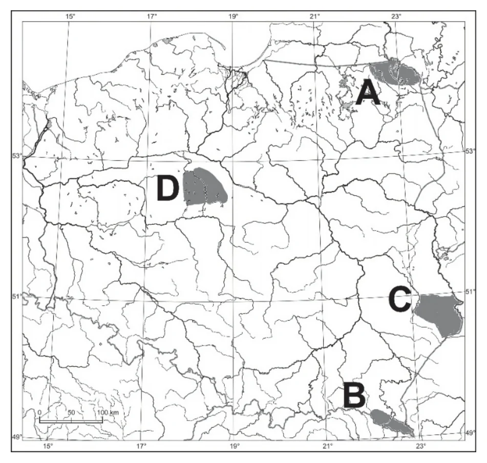 Materiał graficzny do zadania