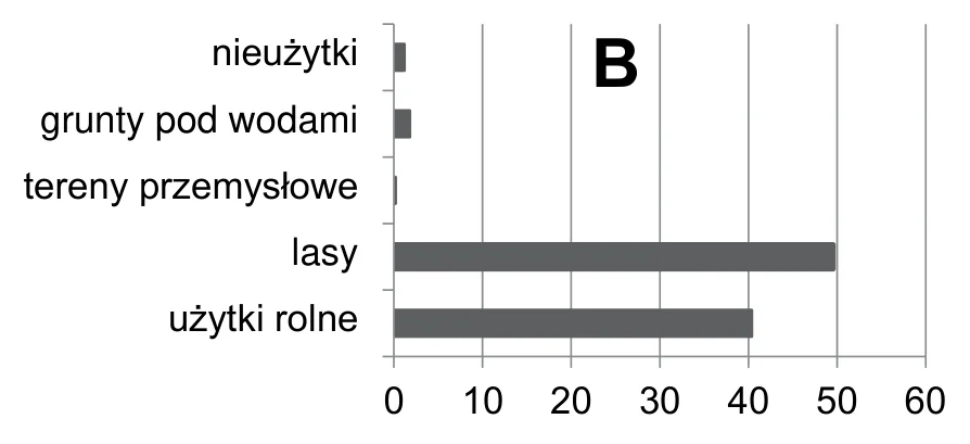 Materiał graficzny do zadania