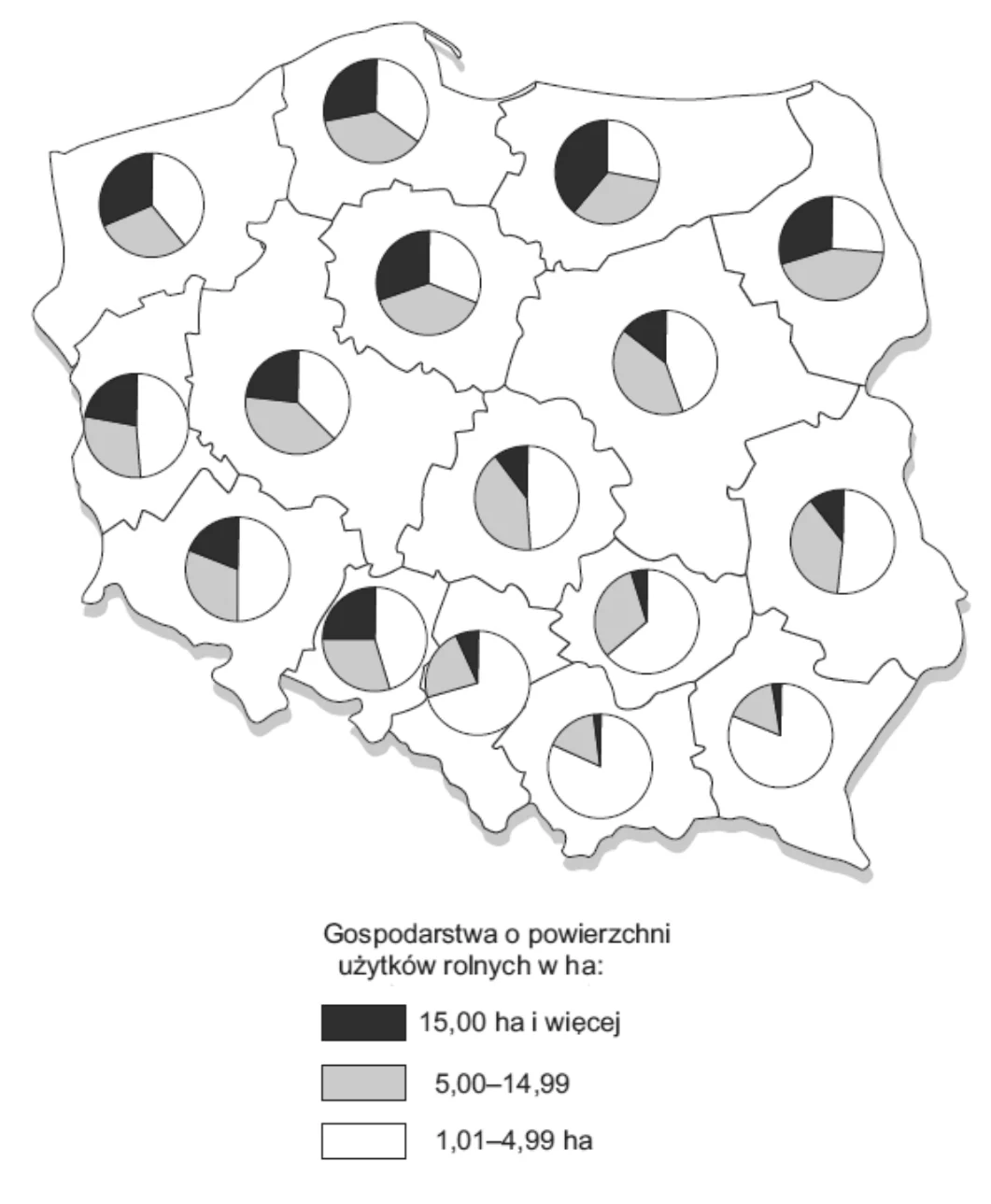 Materiał graficzny do zadania