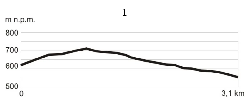 Materiał graficzny do zadania