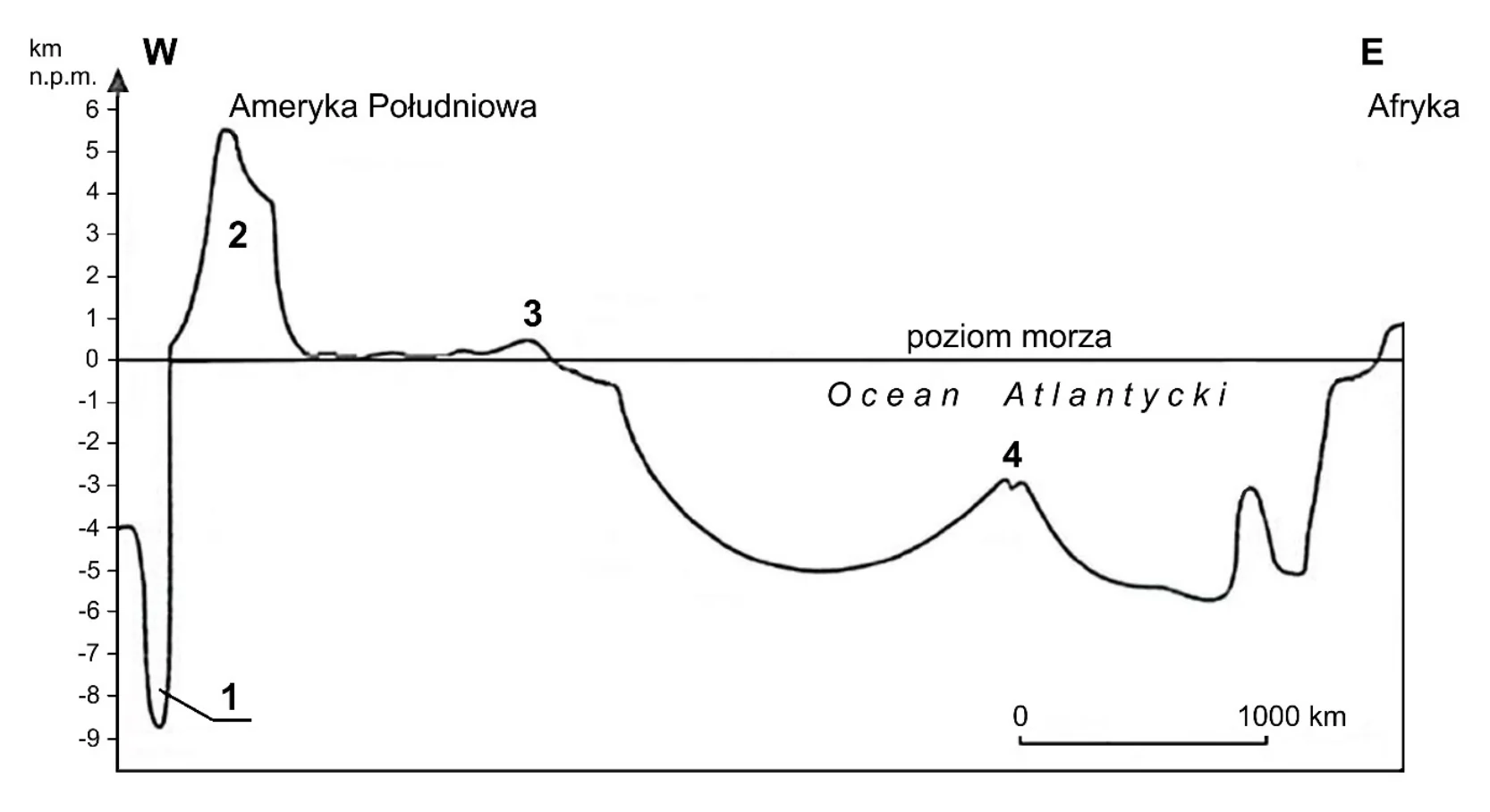 Materiał graficzny do zadania