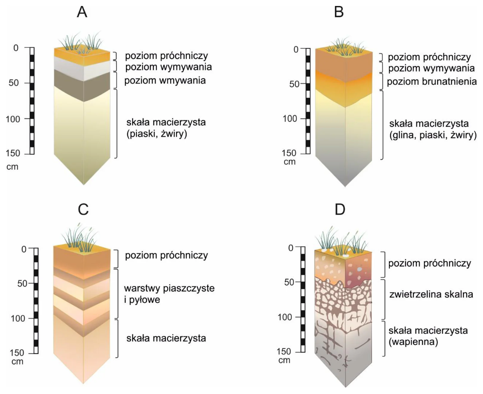 Materiał graficzny do zadania