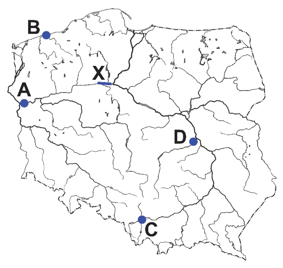Materiał graficzny do zadania