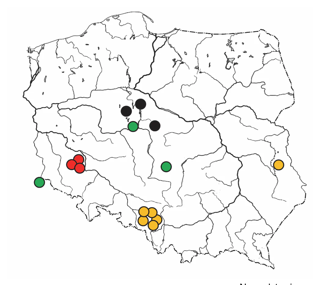 Materiał graficzny do zadania