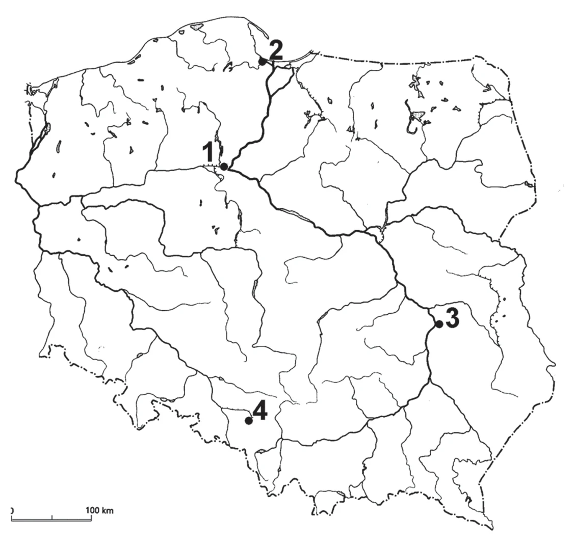 Materiał graficzny do zadania