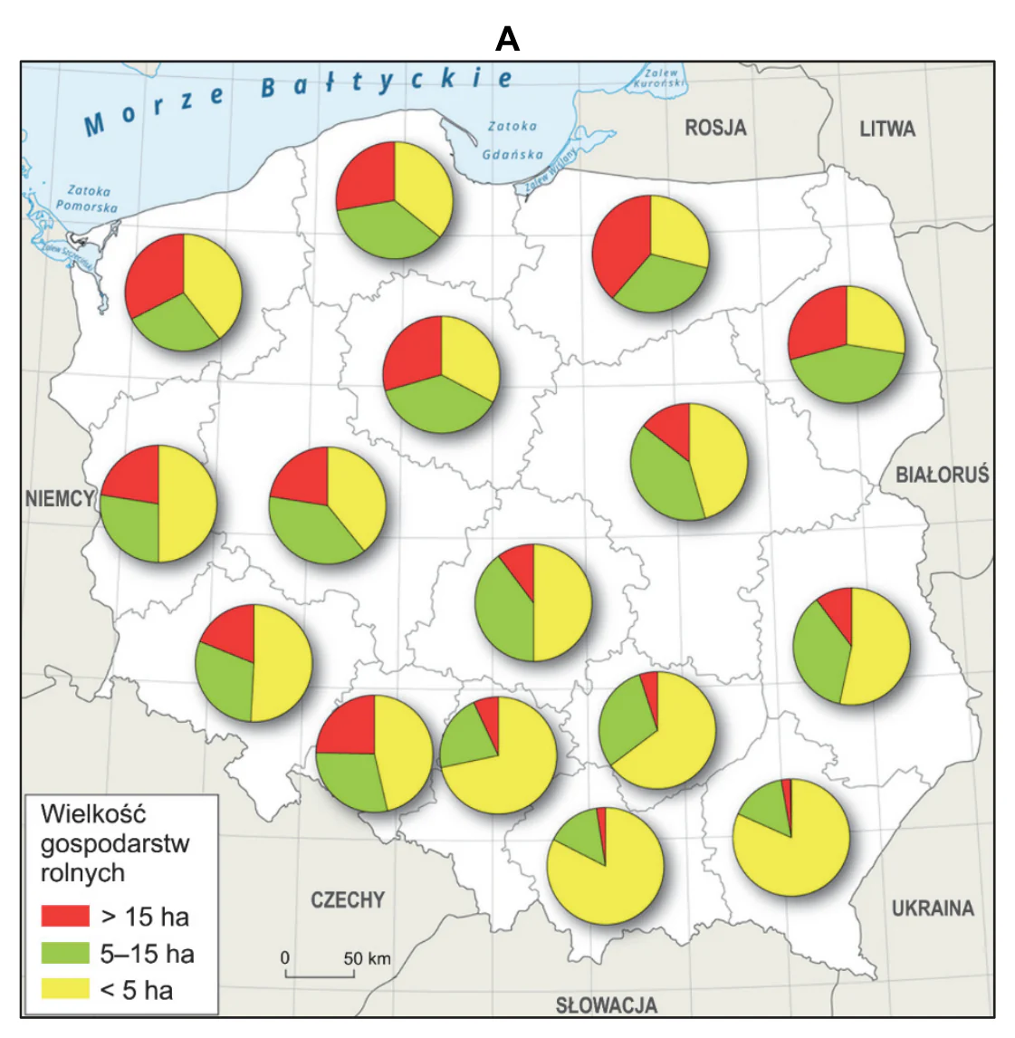 Materiał graficzny do zadania