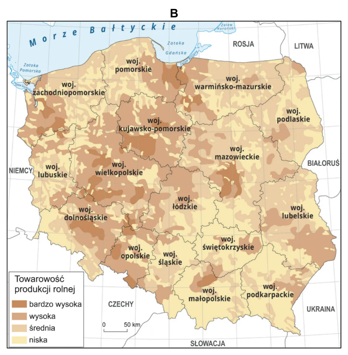 Materiał graficzny do zadania