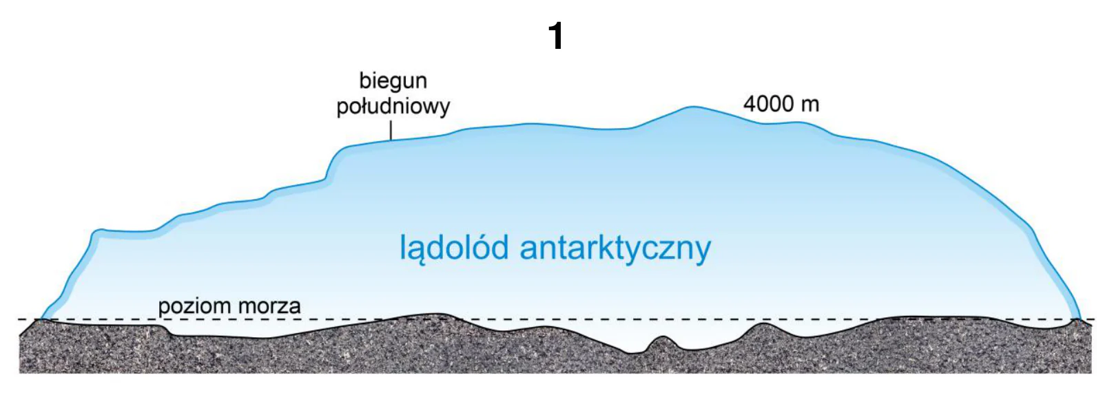 Materiał graficzny do zadania