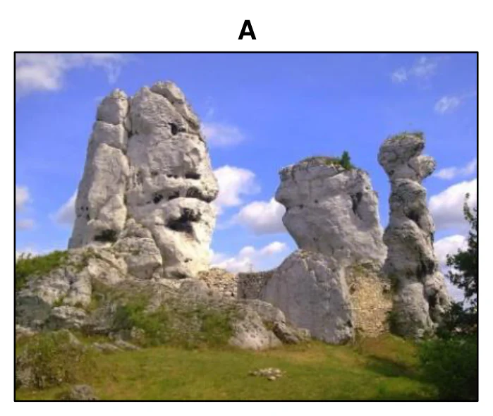 Materiał graficzny do zadania