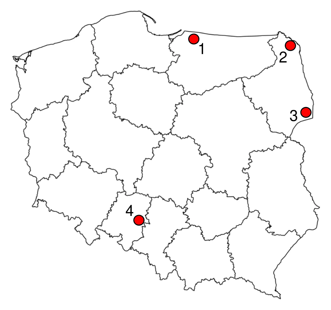 Materiał graficzny do zadania