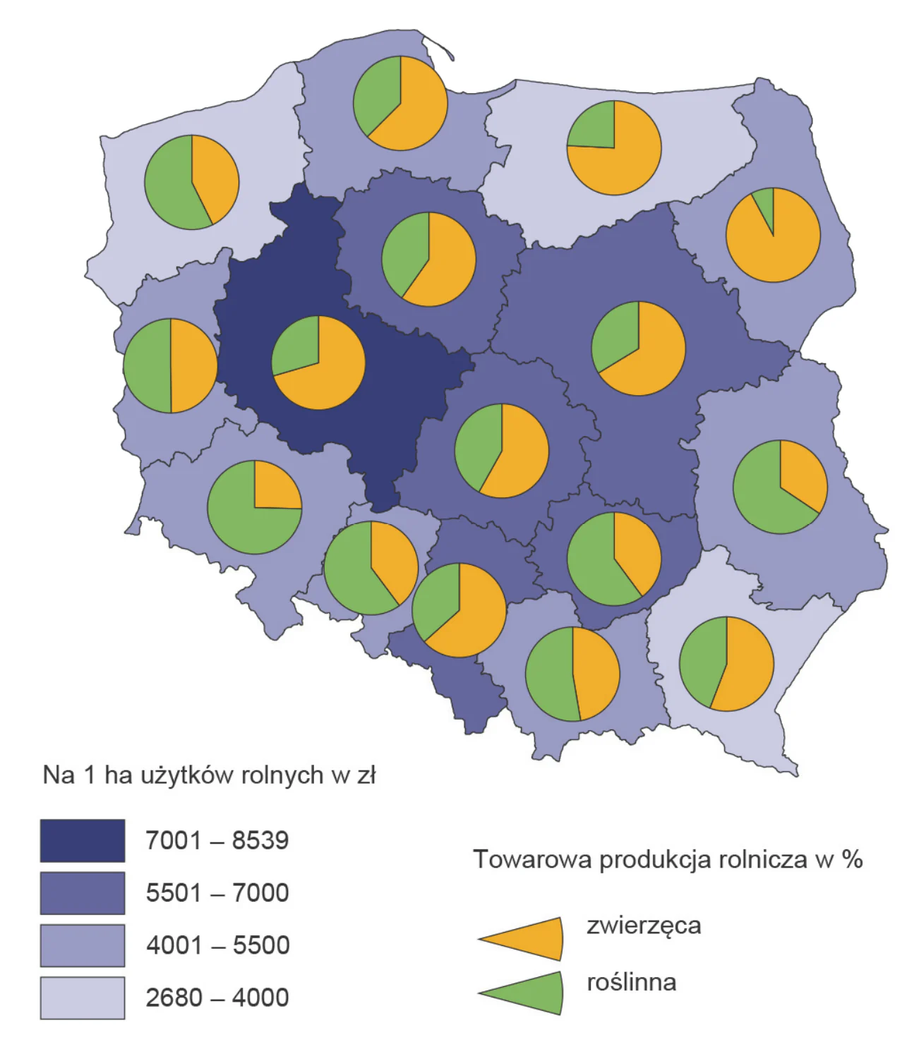 Materiał graficzny do zadania