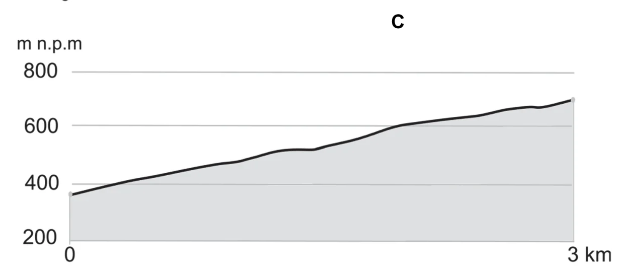 Materiał graficzny do zadania
