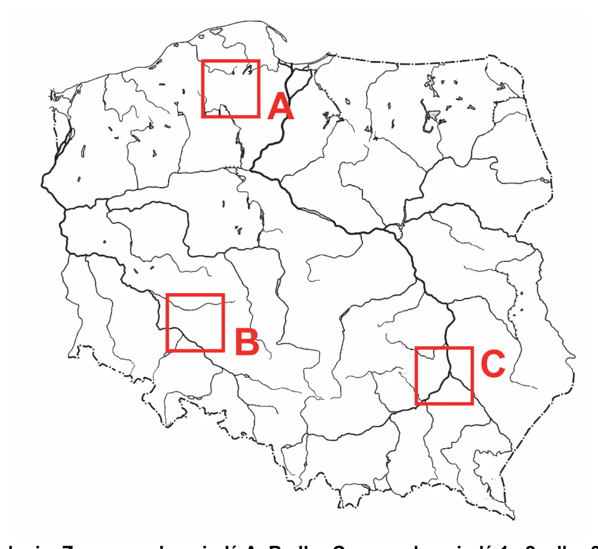 Materiał graficzny do zadania