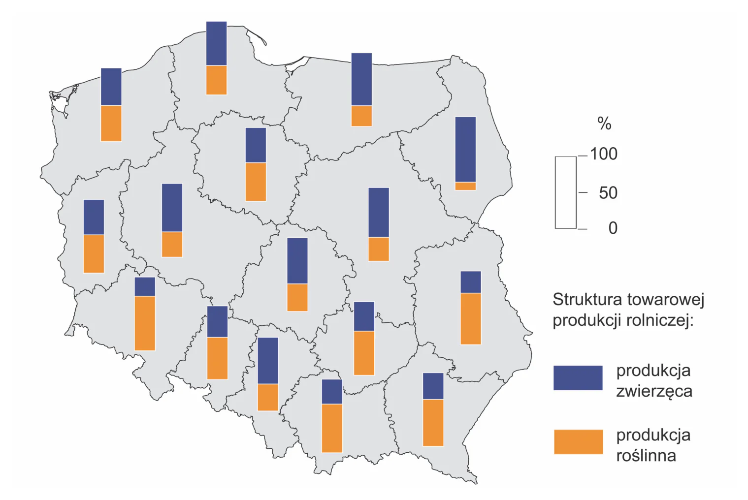 Materiał graficzny do zadania