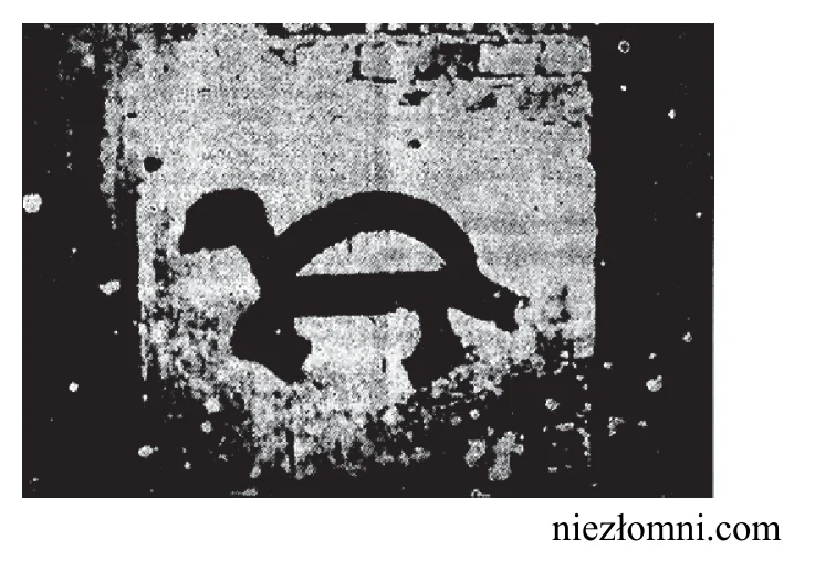 Materiał graficzny do zadania