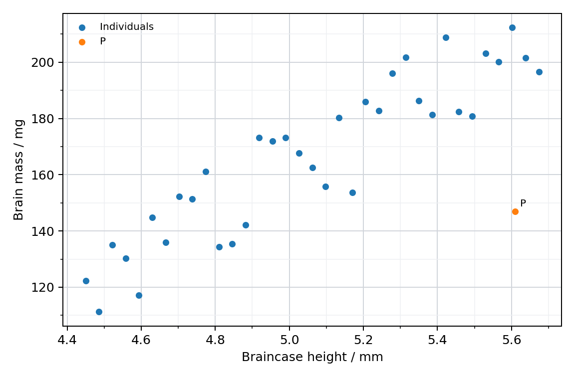 Skull height and brain mass