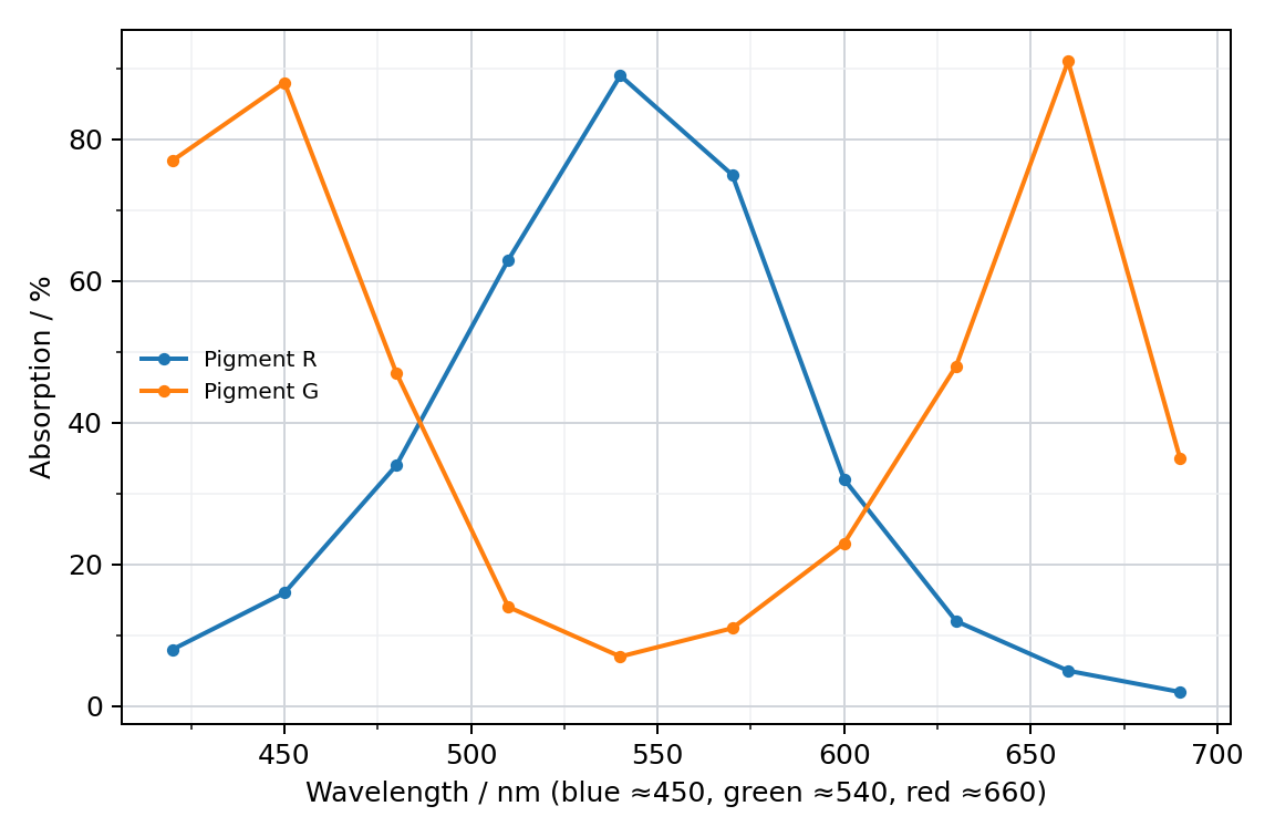 Absorption across visible wavelengths