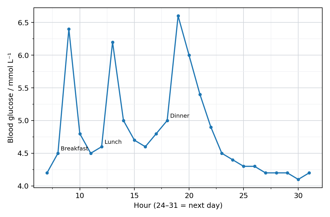 Blood glucose over one day