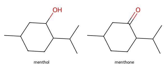 structures of menthol and menthone