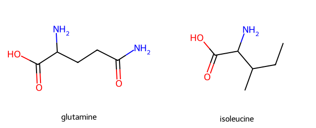 skeletal formulas of the amino acids glutamine and isoleucine