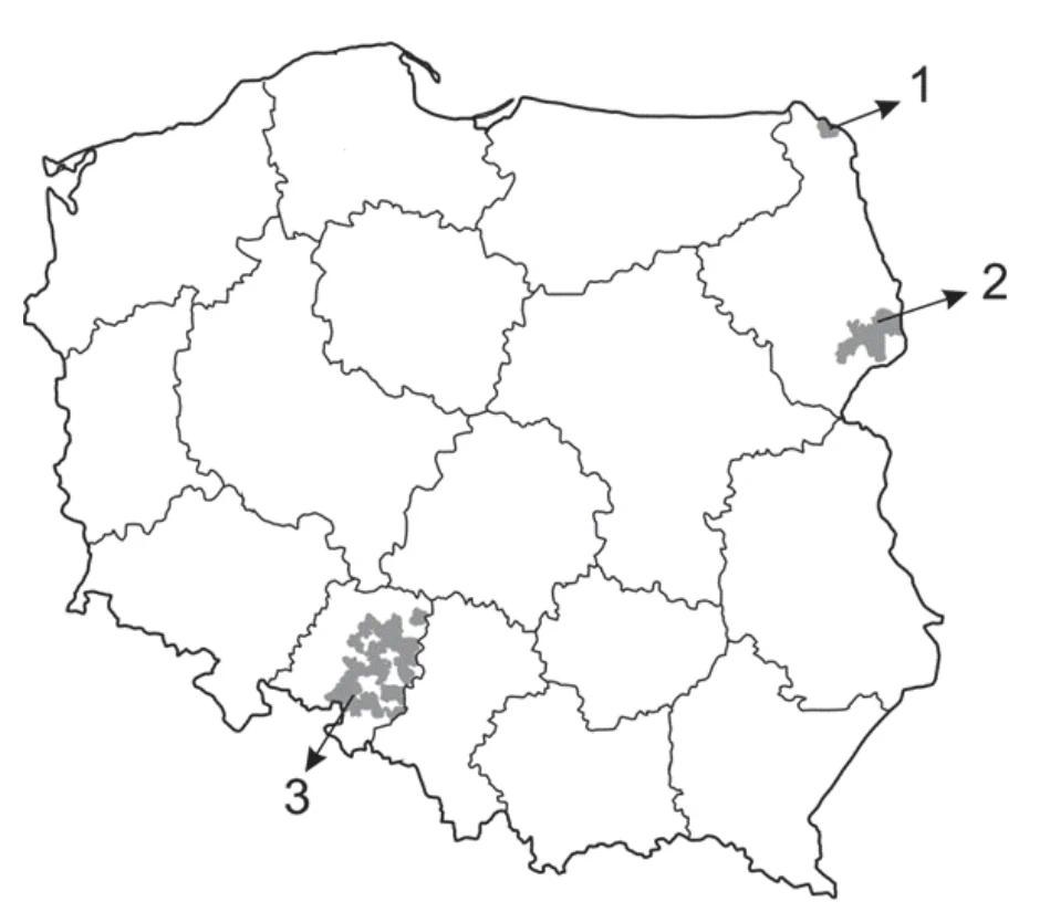 Materiał graficzny do zadania