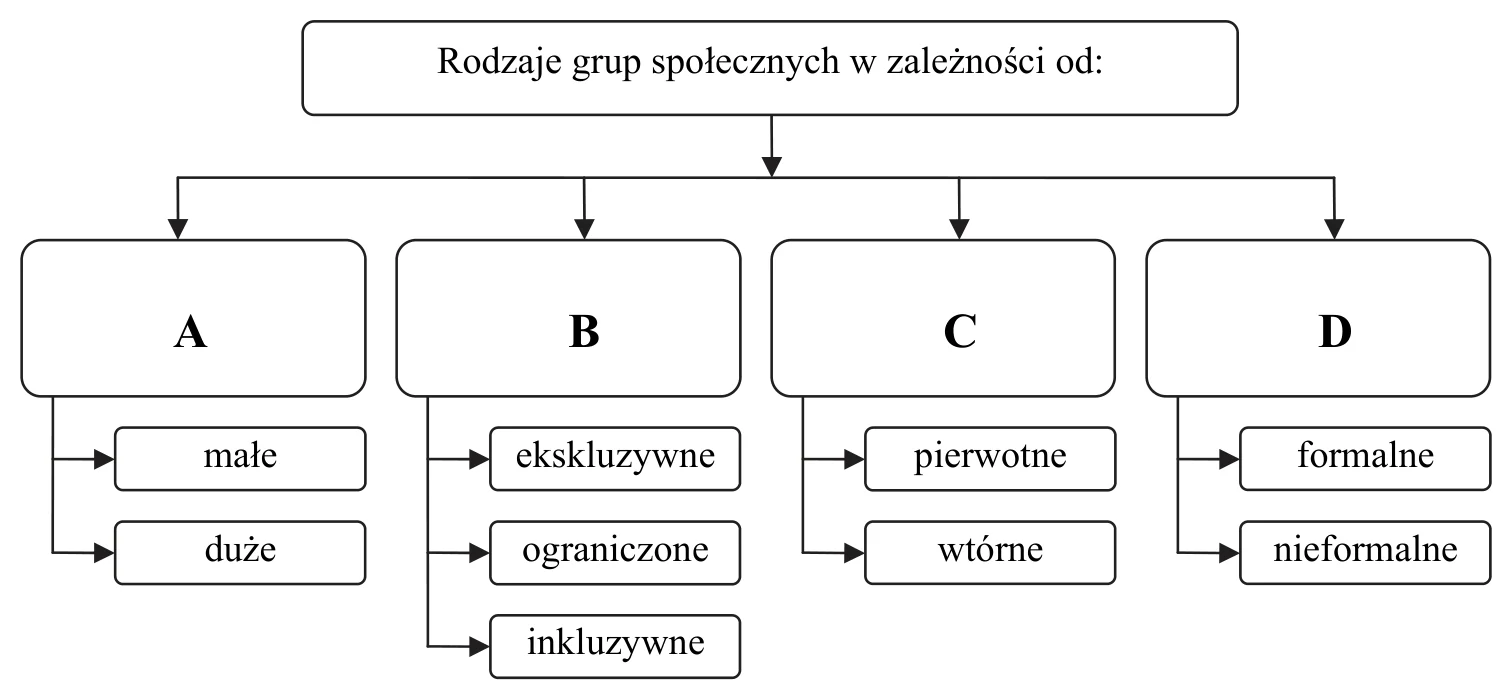 Materiał graficzny do zadania