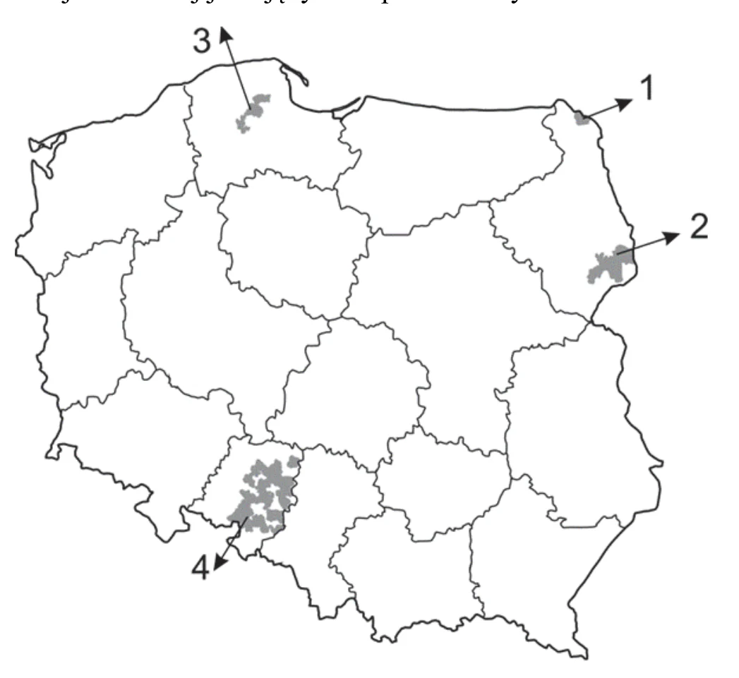 Materiał graficzny do zadania
