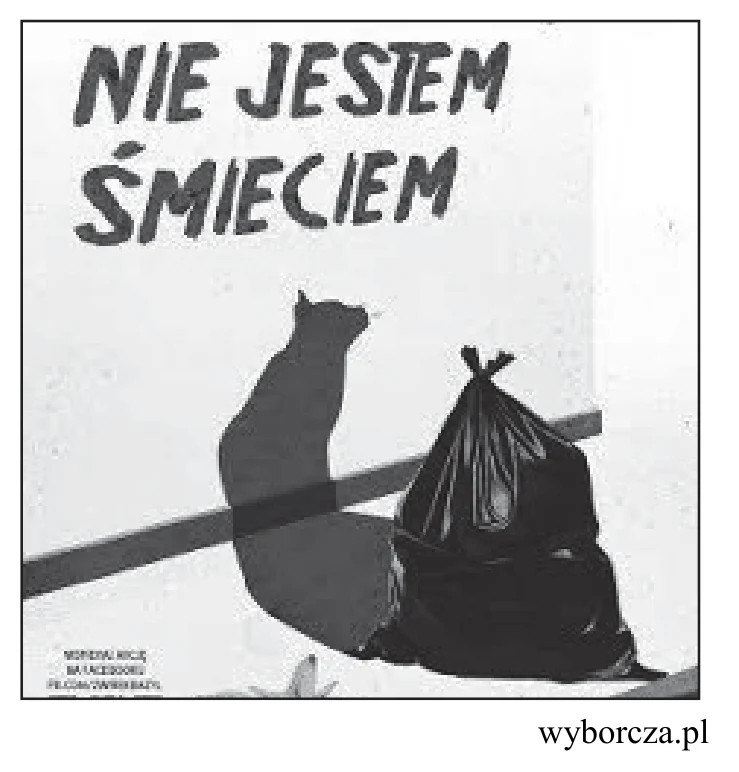 Materiał graficzny do zadania