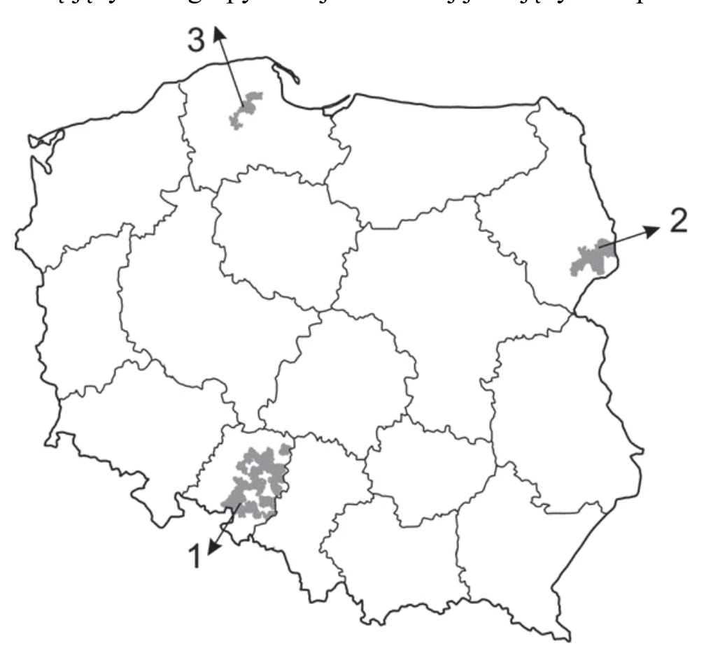 Materiał graficzny do zadania
